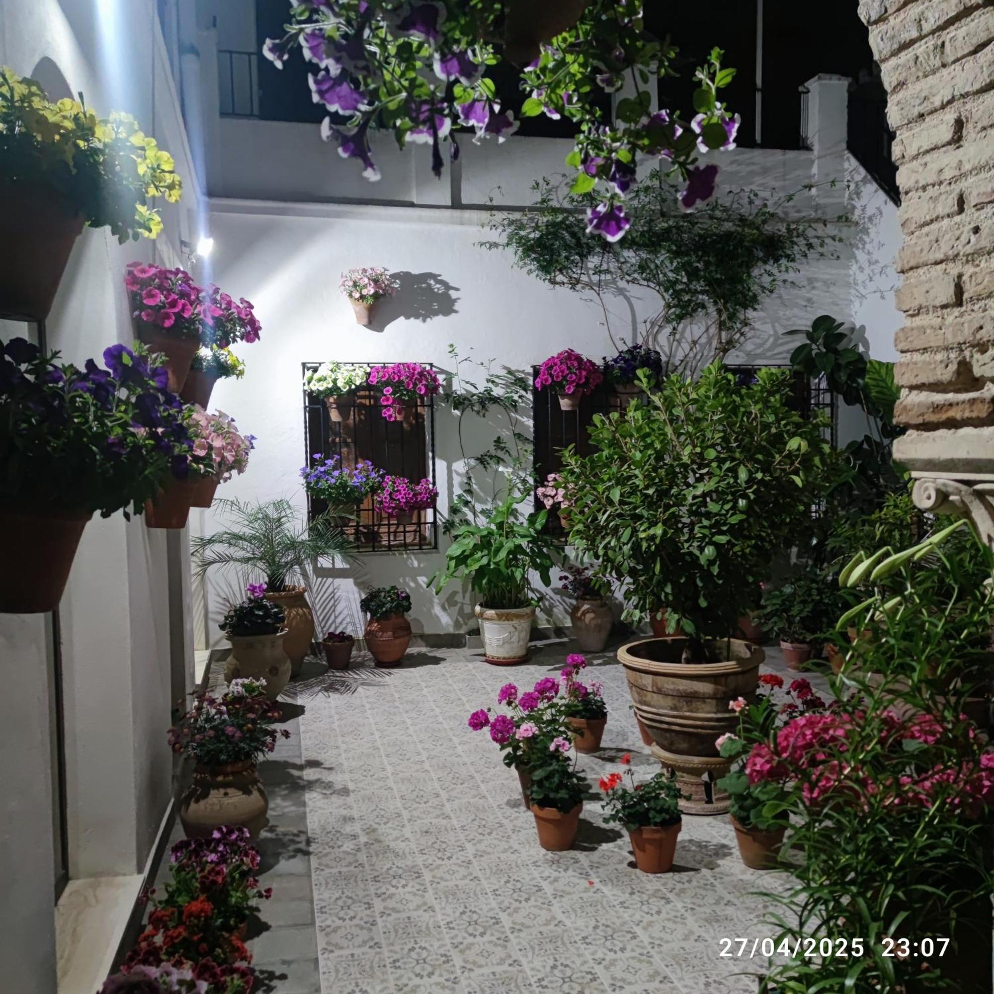 El Patio De Regina Apartment Córdoba Exterior foto