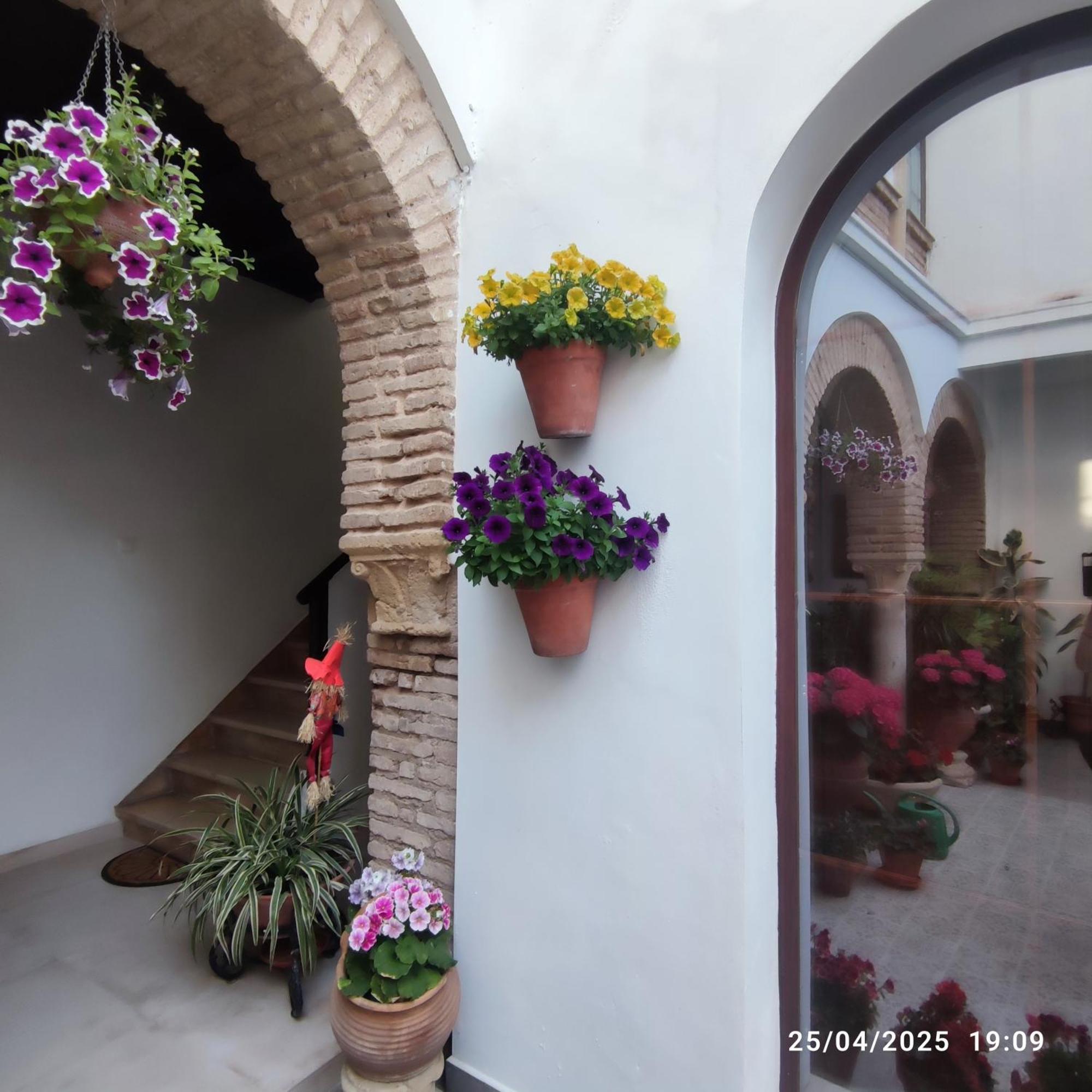 El Patio De Regina Apartment Córdoba Exterior foto