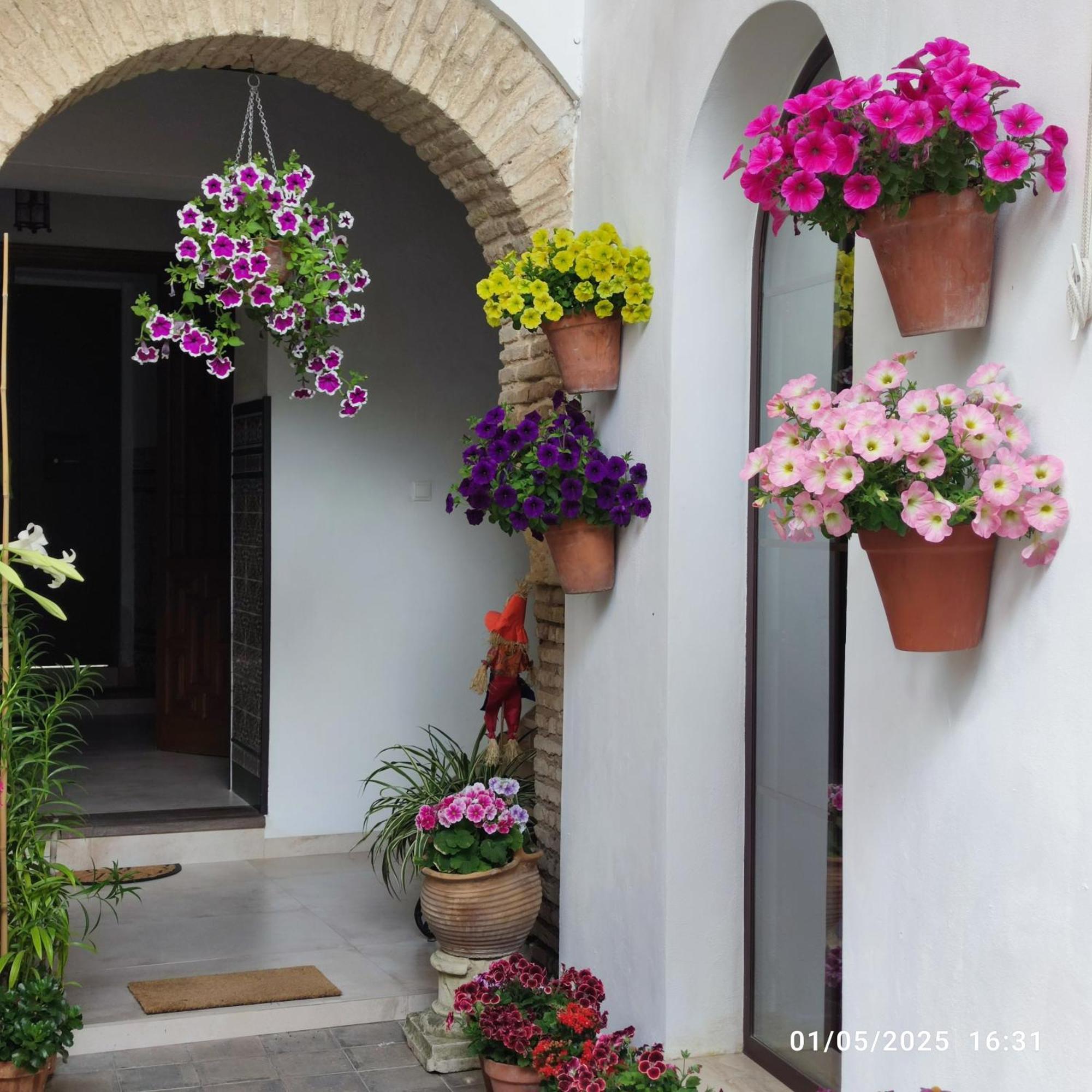 El Patio De Regina Apartment Córdoba Exterior foto