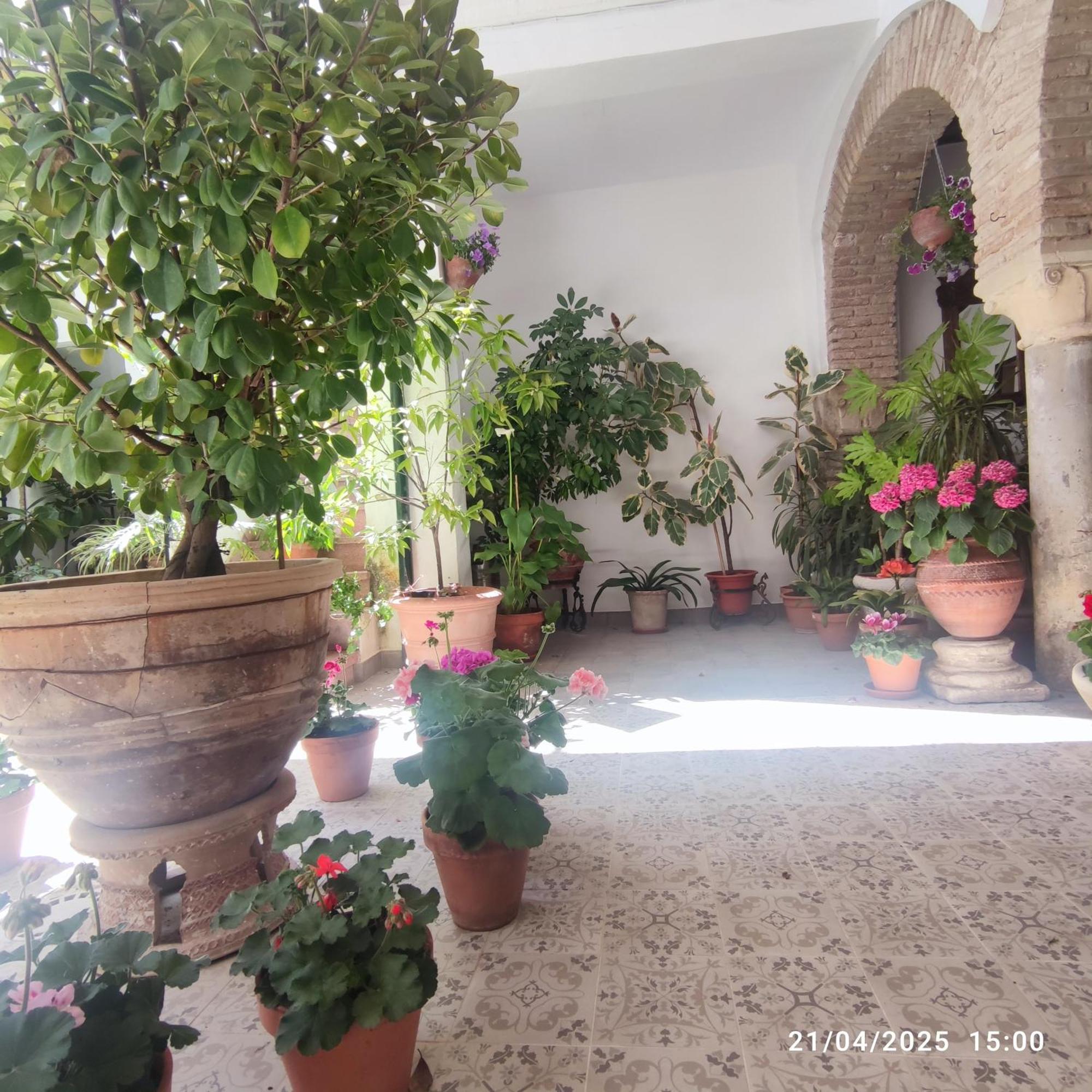 El Patio De Regina Apartment Córdoba Exterior foto