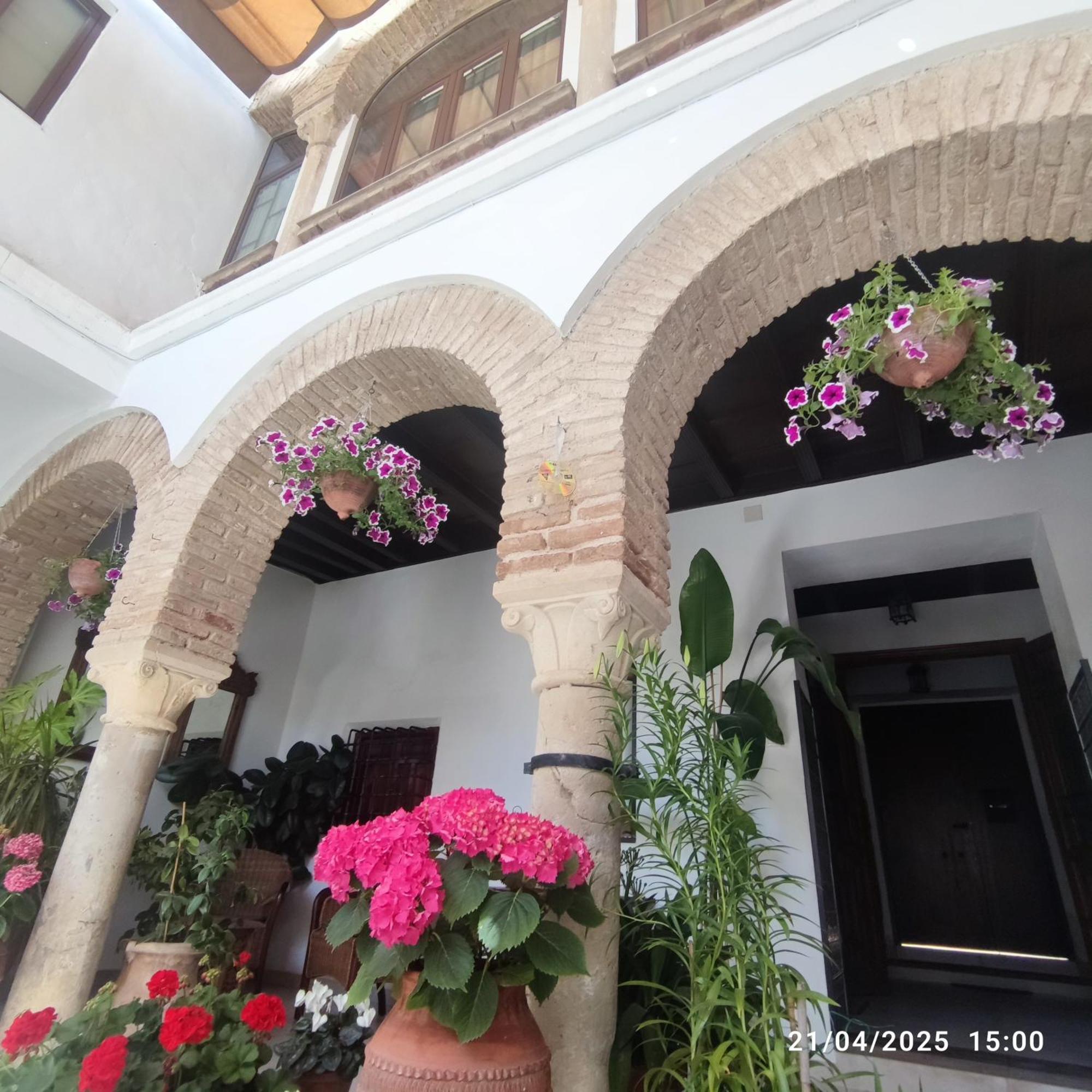 El Patio De Regina Apartment Córdoba Exterior foto